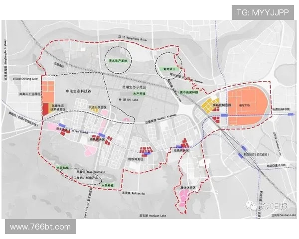 武汉排球队在杯赛中的实力展现与未来发展潜力分析
